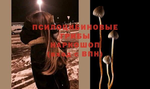 соль ск Михайловка